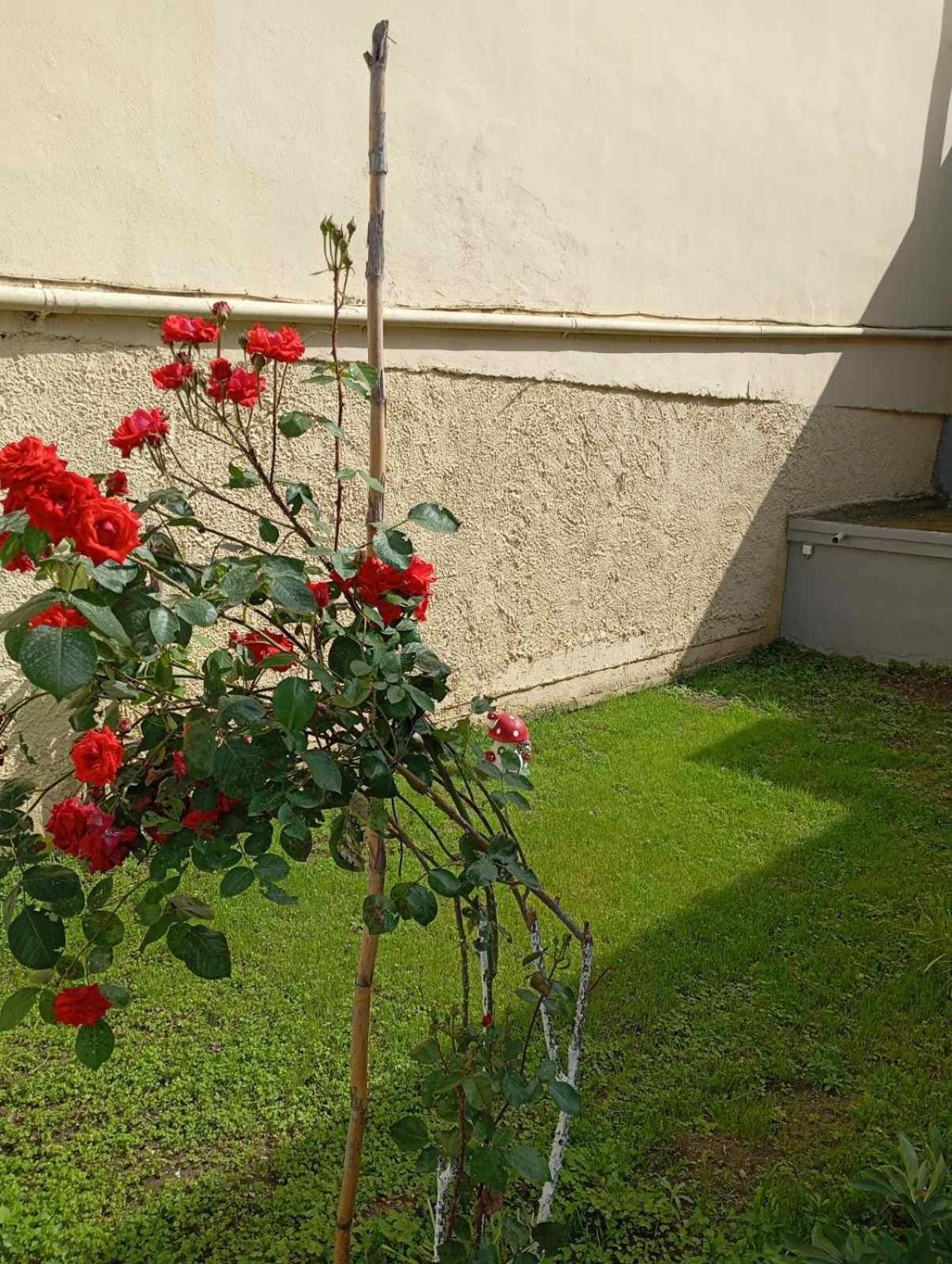House & Garden Villa Kavála Ngoại thất bức ảnh
